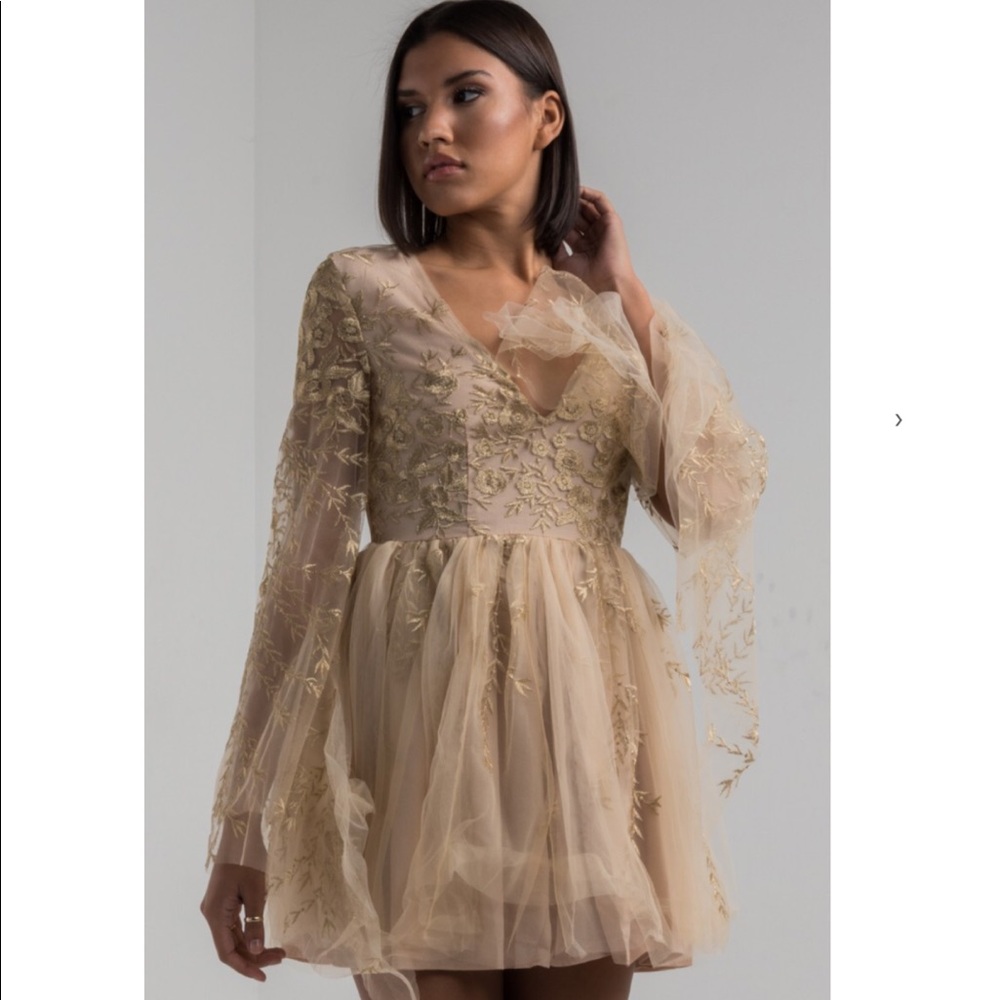 Princess Dress